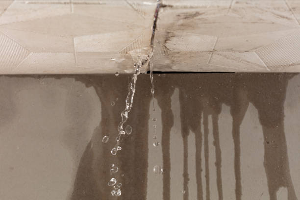 Professional Water Extraction technician working in New Haven, MO
